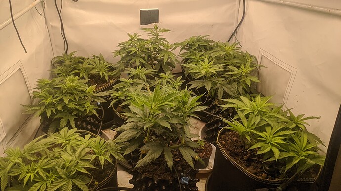 IMG_20231207_231052_129