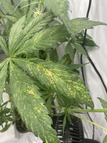 Growreport Bild 12