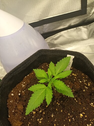 Growreport Bild 23
