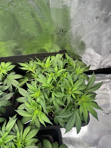 Growreport Bild 11
