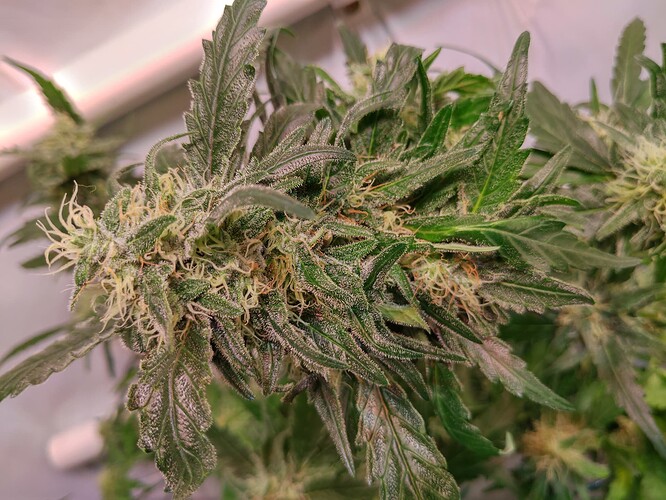 Growreport Bild 12
