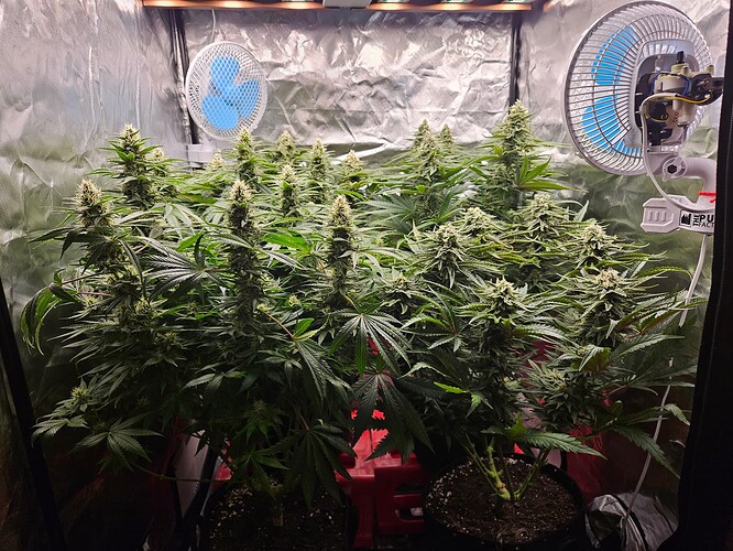 Growreport Bild 19