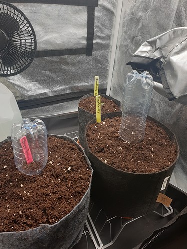 Growreport Bild 7