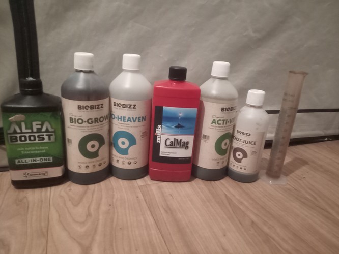 Growreport Bild 21