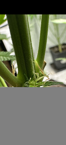 Growreport Bild 38