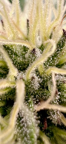 Growreport Bild 17