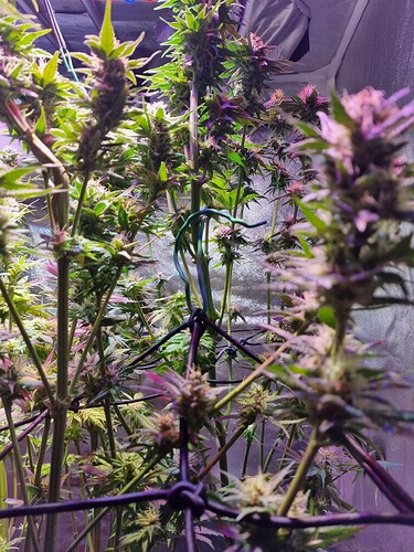 Growreport Bild 23