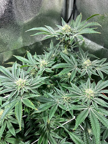 Growreport Bild 14