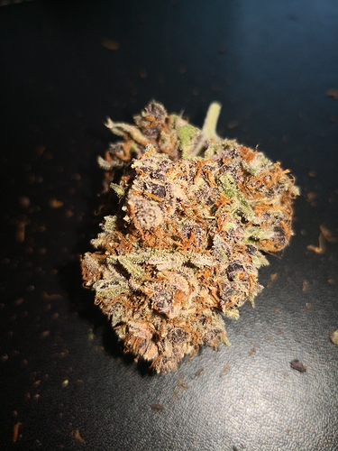 Growreport Bild 16