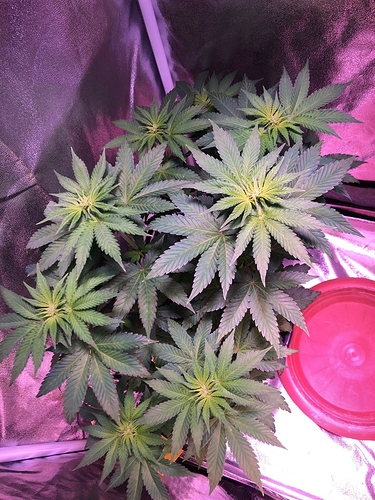 Growreport Bild 24