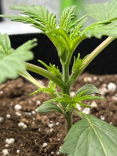 Growreport Bild 14