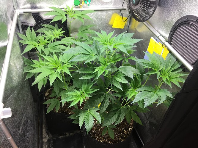 Growreport Bild 8