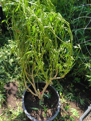 Growreport Bild 17