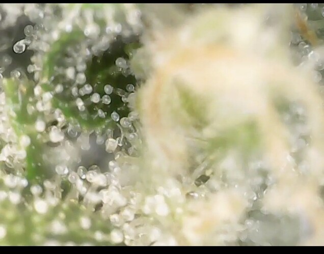 Screenshot_20220906-200652_Gallery