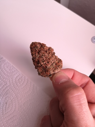 Growreport Bild 4