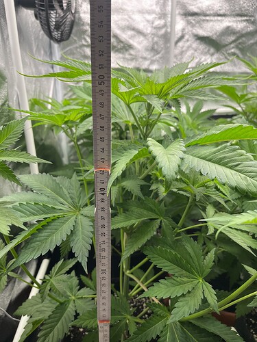 Growreport Bild 10