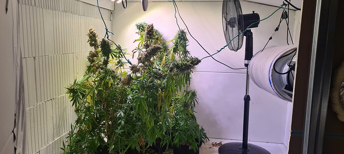 Growreport Bild 2