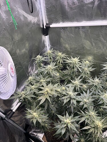 Growreport Bild 5