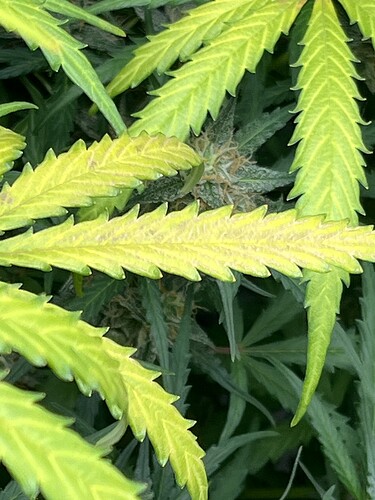 Growreport Bild 11