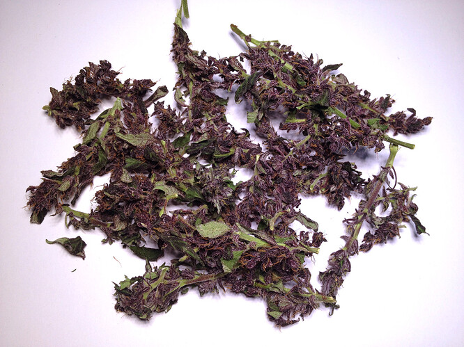 Growreport Bild 24