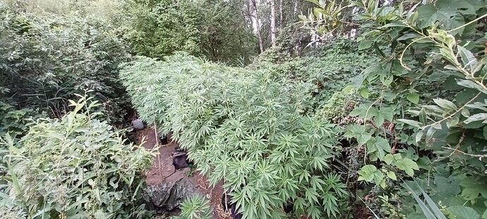 Growreport Bild 15