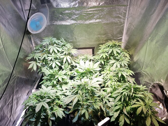 Growreport Bild 5