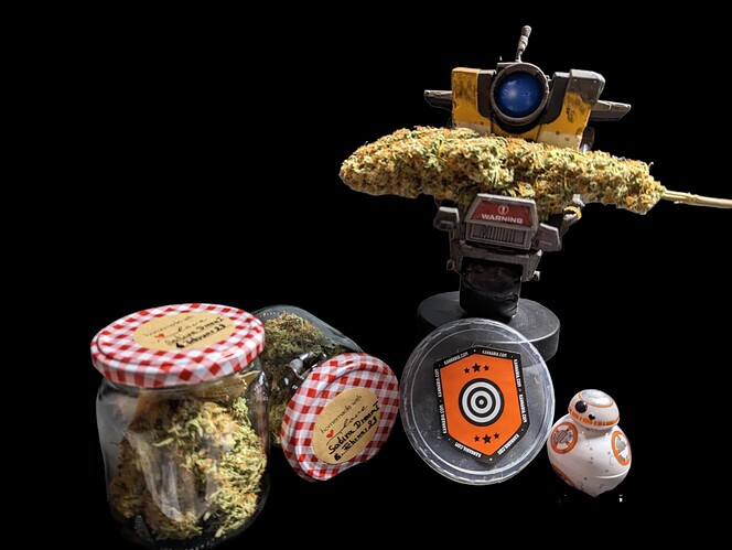 Growreport Bild 21