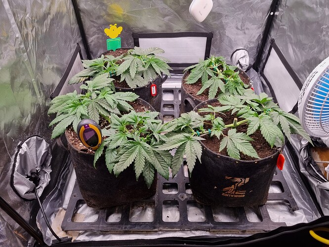 Growreport Bild 21