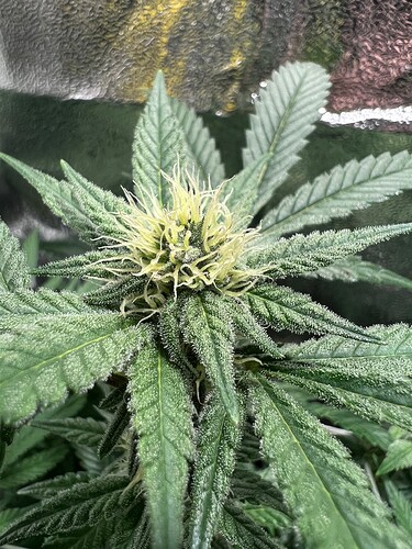 Growreport Bild 7