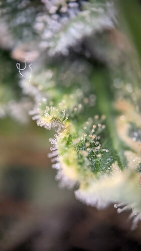 PXL_20221020_180335091