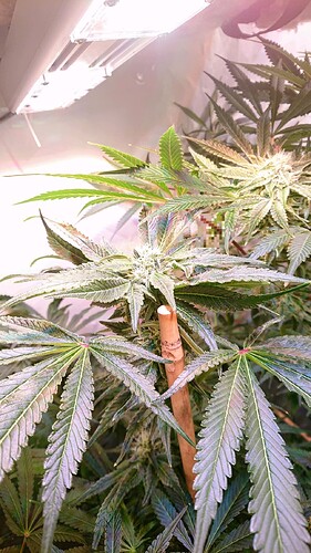 Growreport Bild 21