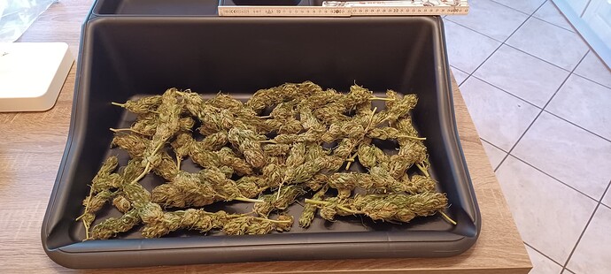 Growreport Bild 2