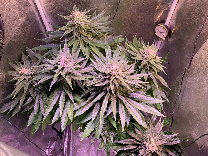 Growreport Bild 18