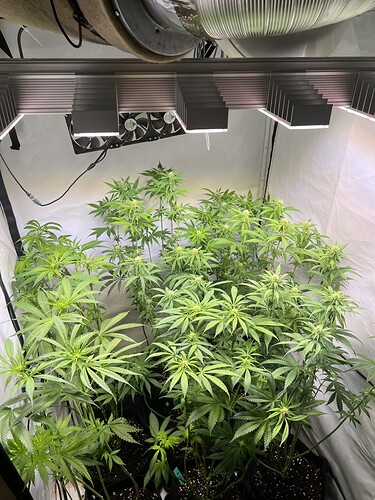 Growreport Bild 10