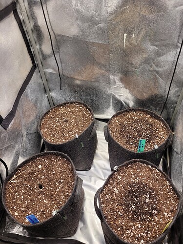 Growreport Bild 2