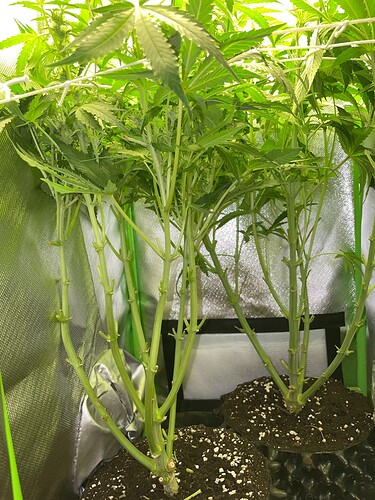 Growreport Bild 18