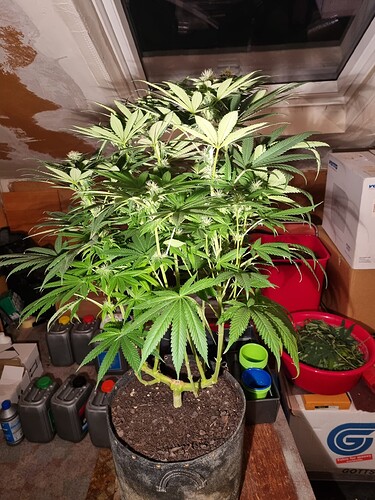 Growreport Bild 21