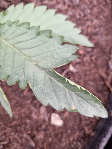 Growreport Bild 10