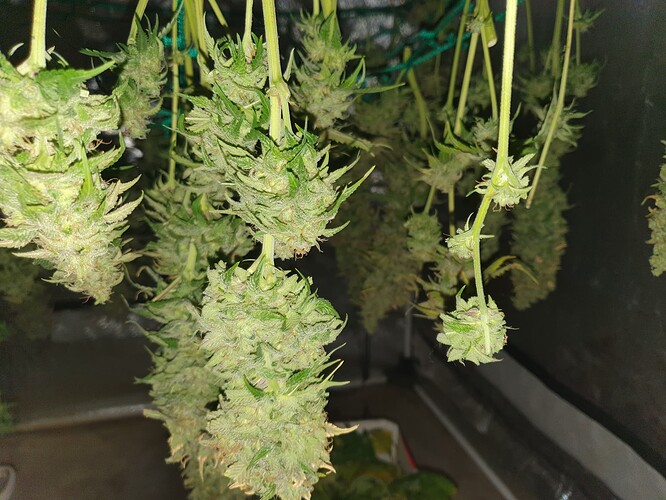 Growreport Bild 14