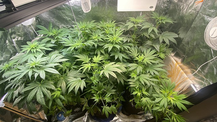 Growreport Bild 18