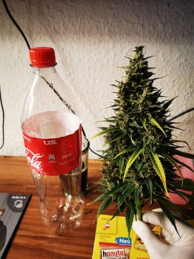 Growreport Bild 12