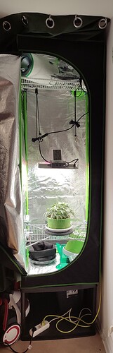 IMG_20230817_024341