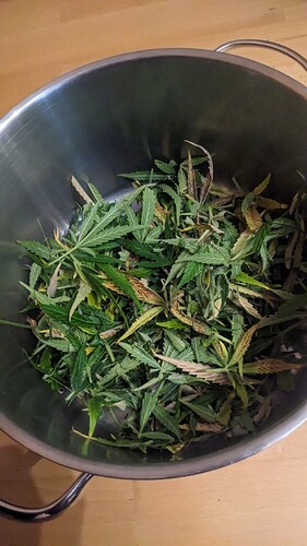 Growreport Bild 10