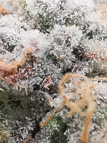 Growreport Bild 24