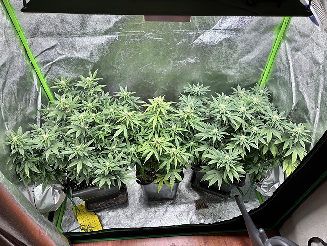 Growreport Bild 9