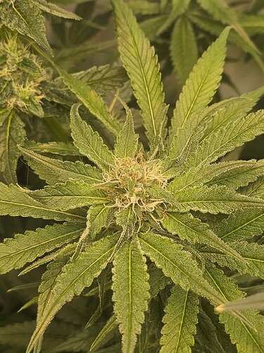 Growreport Bild 21