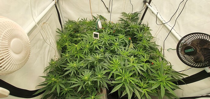Growreport Bild 1