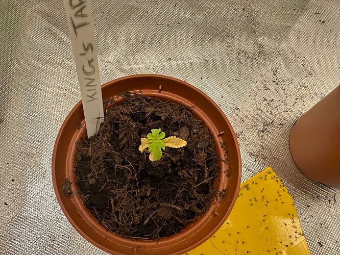 Growreport Bild 9