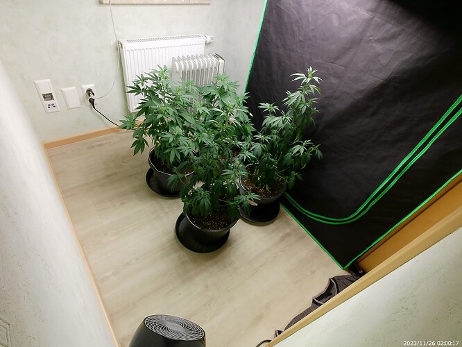 Growreport Bild 27
