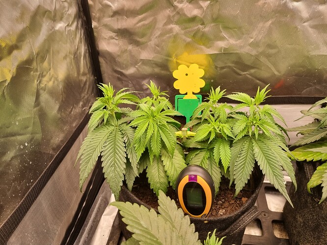 Growreport Bild 16